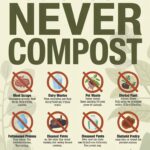 15 Things You Should Never Compost