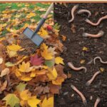 Fall Composting For Beginners: Turn Autumn Leaves Into Garden Gold